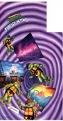 Turtles in Time Original Side Art