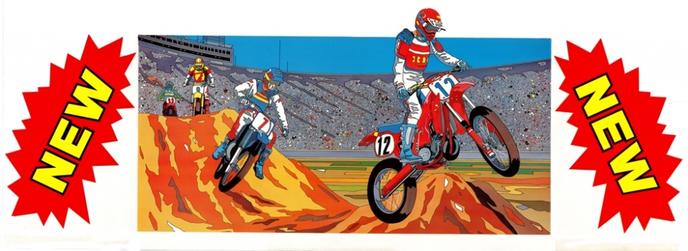 Vs. Excitebike Topper